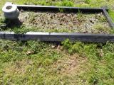 image of grave number 340575